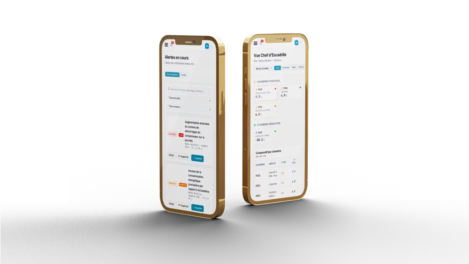 web app EcoFresh dans deux smartphones